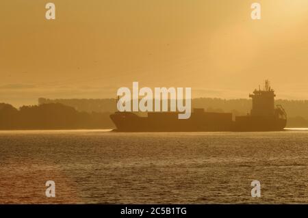 Frachtschiff auf der Elbe, unter den Stromleitungen der Elbe bei Twielenfleth im Alten Land, Kreis Stade, Niedersachsen, Deutschland Stockfoto