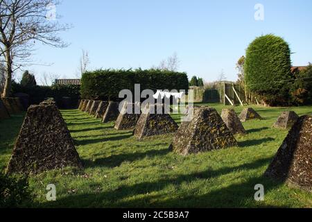 Egmond aan den Hoef. Niederlande, Februar 2020. Beton Drachen Zähne, Reste des 2. Weltkrieges verwendet, um alliierte Panzer zu stoppen. Teil der Atlantikmauer. Stockfoto
