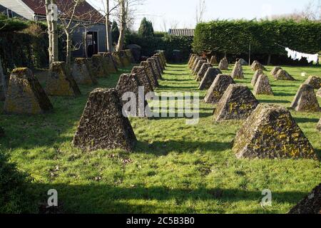 Egmond aan den Hoef. Niederlande, Februar 2020. Beton Drachen Zähne, Reste des 2. Weltkrieges verwendet, um alliierte Panzer zu stoppen. Teil der Atlantikmauer. Stockfoto