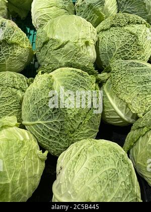 Vertikale Nahaufnahme von frischen grünen wirsing-Kohl in einem Kunststoffbox Stockfoto