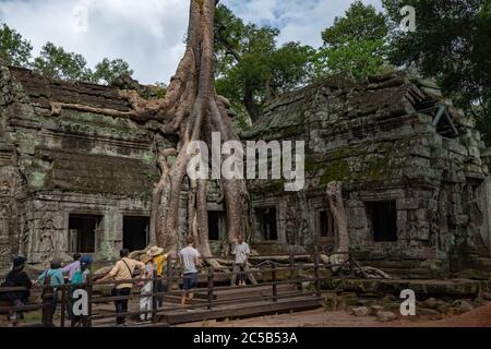 Touristen besuchen Ta Prohm Tempel und die Wurzeln des berühmten Baum Tatrameles Nudiflora. Siem Reap, Kambodscha. Stockfoto