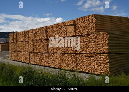 Holzstapel liegen auf dem Hof der Tolko Industries Lakeview Division in Williams Lake, British Columbia, Kanada. Stockfoto