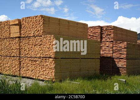 Holzstapel liegen auf dem Hof der Tolko Industries Lakeview Division in Williams Lake, British Columbia, Kanada. Stockfoto