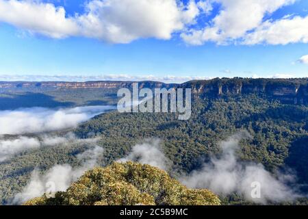 Blick auf Nebel im Tal von Leura westlich von Sydney, Australien Stockfoto