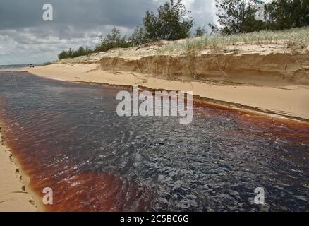 Tea Tree Creek, Fraser Island Stockfoto