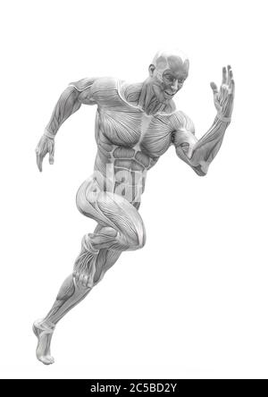 Muscleman Anatomie heroischen Körper läuft in weißem Hintergrund, 3d-Illustration Stockfoto