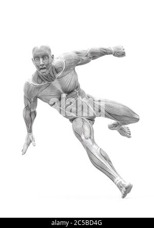 Muscleman Anatomie heroischen Körper Parkour Lauf in weißem Hintergrund, 3d-Illustration Stockfoto