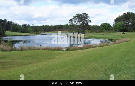 Grüne Graslandschaft mit einem kleinen Teich und Bäumen Stockfoto