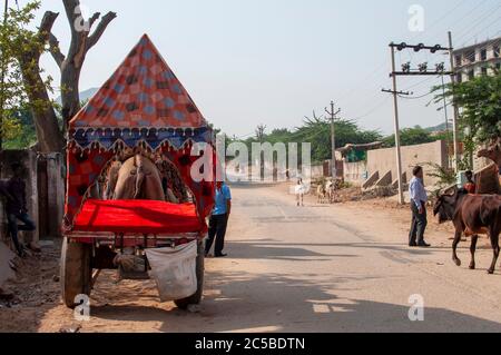 Das Kamel ist Teil der Landschaft von Rajasthan; die Ikone der Wüste Staat, Teil seiner kulturellen Identität, und ein wirtschaftlich wichtiges Tier für Stockfoto