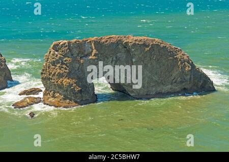 Giant Sea Arch an der Küste in der Nähe des Arch Rock Picnic Area an der Küste von Oregon Stockfoto