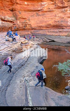 Der Garten Eden in Kings Canyon Stockfoto