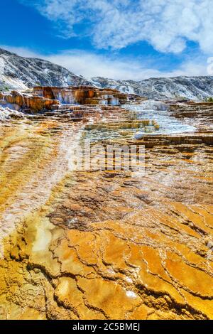 Jupiter und Mound Terrassen in Mammoth Hot Springs im Yellowstone Nationalpark, wo Travertin-Formationen und fließendes heißes Wasser das surreale La Formen Stockfoto