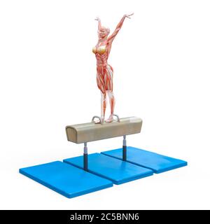 Muscle Frau macht einen Gymnastik auf Pauschenpferd in weißem Hintergrund, 3d-Illustration Stockfoto