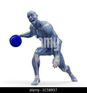 Muscleman Anatomie heroischen Körper Basketball sehr hart in weißem Hintergrund spielen, 3d-Illustration Stockfoto