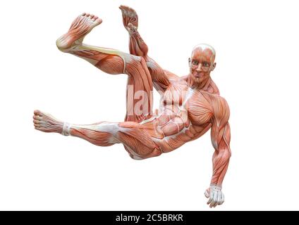 Muscleman Anatomie heroischen Körper Parkour Sprung Pose zwei in weißem Hintergrund, 3d-Illustration Stockfoto