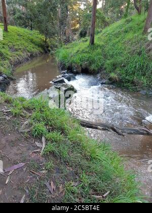 Korumburra Victoria Australien im botanischen Park am Wasserfall Wasserfall Wasserfall im Tal Landschaft Botanischer Garten schnell fließender Bach Versteckte Perle Stockfoto