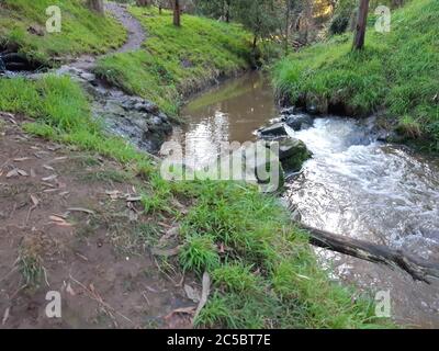 Korumburra Victoria Australien im botanischen Park am Wasserfall Wasserfall Wasserfall im Tal Landschaft Botanischer Garten schnell fließender Bach Versteckte Perle Stockfoto