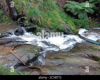 Korumburra Victoria Australien im botanischen Park am Wasserfall Wasserfall Wasserfall im Tal Landschaft Botanischer Garten schnell fließender Bach Versteckte Perle Stockfoto