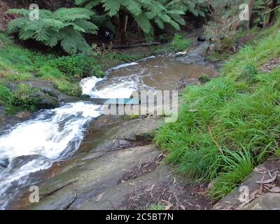 Korumburra Victoria Australien im botanischen Park am Wasserfall Wasserfall Wasserfall im Tal Landschaft Botanischer Garten schnell fließender Bach Versteckte Perle Stockfoto