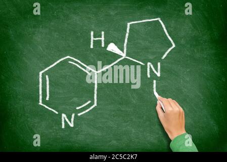 Nikotin. Chemische Struktur des Nikotins aus Zigaretten geschrieben auf Tafel von Lehrer in der Erziehung der Gesundheit. Nikotin-Molekül auf grüner Tafel. Stockfoto