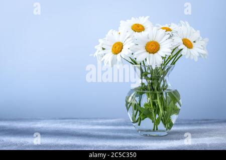 Blumenstrauß in einer Glasvase auf blauem Hintergrund. Leere Stelle für Text. Geschenkkarte mit Blumenmuster und Kamille. Speicherplatz kopieren, Mockup. Blumenschmuck Stockfoto