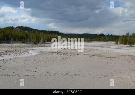 Frühling im Yellowstone Nationalpark: Gray Lakes Nebenfluss von Tantalus Creek gegenüber von Porkchop Geyser im Back Basin Bereich des Norris Geyser Basin Stockfoto