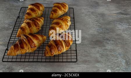 Frisch gebackene Croissants auf Kühlregal Stockfoto