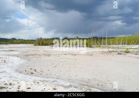 Frühling in Yellowstone: Blick über den Gray Lakes Nebenfluss von Tantalus Creek in der Nähe von Porkchop Geyser im Back Basin Bereich des Norris Geyser Basin Stockfoto