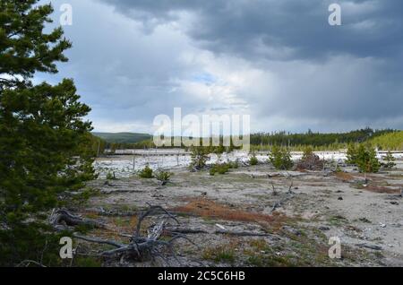 NORRIS JUNCTION, WYOMING - 7. JUNI 2017: Porkchop Geyser und der Boardwalk im Back Basin des Norris Geyser Basin im Yellowstone National Park Stockfoto