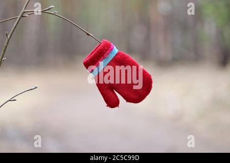 Einsame rote Kinderhandschuhe hängen auf einem Zweig über einem Waldweg. Nahaufnahme. Stockfoto