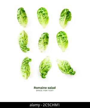 Kreatives Muster mit frischen Romaine Salatköpfe isoliert auf weißem Hintergrund mit Kopierraum. Stockfoto