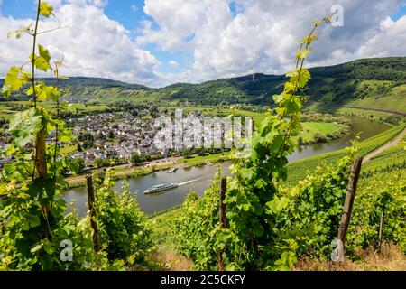 PŸnderich, Rheinland-Pfalz, Deutschland - Weingüter an der Mosel. PŸnderich, Rheinland-Pfalz, Deutschland - Weinberge an der Mosel. Stockfoto