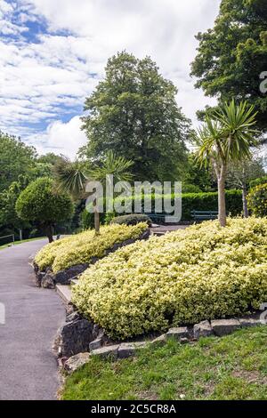 Alexendra Gardens in Penarth, mit Blick auf die Esplanade und Penarth Pier. Dies war Anfang Juli im Sommer 2020. Stockfoto