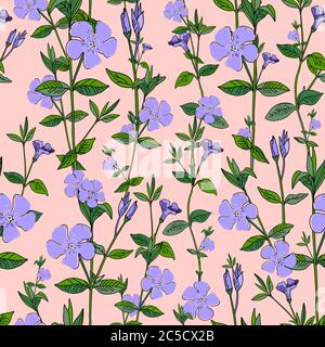Blaue Blumen auf einem rosa Hintergrund. Periwinkle. Nahtloses Sommermuster Stock Vektor