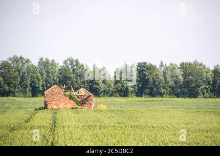 Ein kleines Ackerland Gebäude, das in Ruinen, auf offenen Feldern liegt, wie es im Laufe der Jahre verfällt. Stockfoto