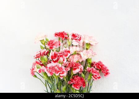 Bouquet von roten und weißen Nelkenblumen auf hellem Hintergrund. Muttertag, Valentinstag, Geburtstagsfeier Konzept. Platz für Text kopieren, oben vi Stockfoto