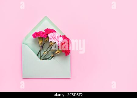 Rosa Nelkenblumen in grünen Umschlag auf rosa Pastellhintergrund. Flat Lay von Birhday, Mothers Day, Bachelorette, Hochzeitskonzept. Kopierbereich, oben V Stockfoto