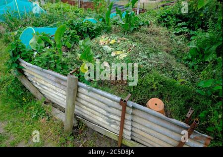 Großer Komposthaufen auf Schrebergarten, norfolk, england Stockfoto