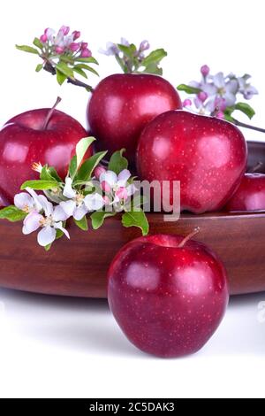 Äpfel in einer Schüssel mit Apfelblüte auf weißem Hintergrund. Stockfoto