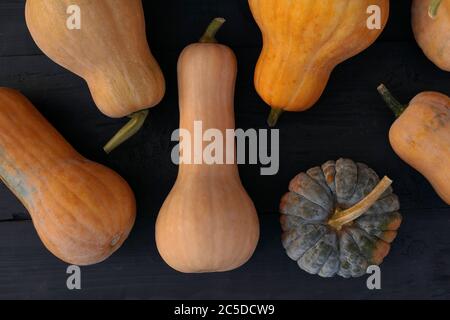 Butternut und Moschata zerquetscht Sorten auf schwarzem Holzbrett Hintergrund Stockfoto