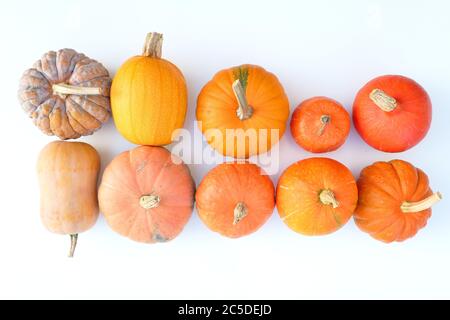 Orange und gelbe verschiedene Kürbisse auf weißem Hintergrund Stockfoto