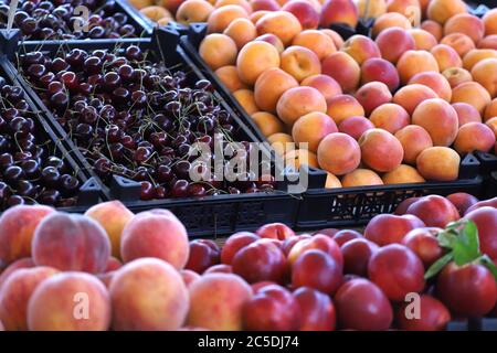 Kirschen, Pfirsiche, Nektarinen und Aprikosen auf dem Markt. Obst-Muster Stockfoto