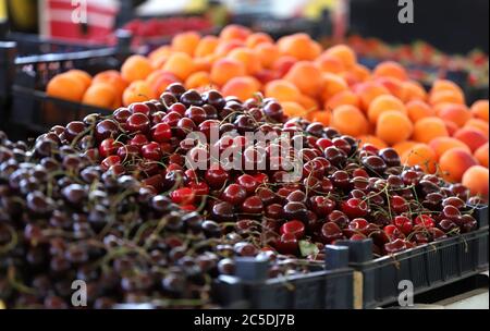 Kirschen, Pfirsiche, Nektarinen und Aprikosen auf dem Markt. Obst-Muster Stockfoto