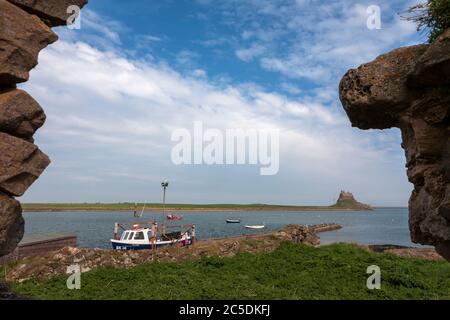 Das Schloss und der Hafen von The Common, Lindisfarne, Holy Island, Northumberland, England, Großbritannien Stockfoto