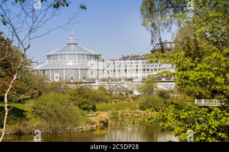Botanischer Garten und Park in der dänischen Hauptstadt Kopenhagen. Stockfoto
