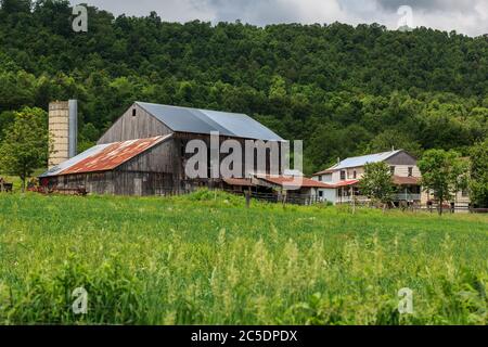 Bellville, PA, USA - 23. Mai 2013: Eine Amish Farm mit einer unbemalten Scheune in der Nähe von Belleville im Kishacoquillas Valley, Mifflin County, PA. Stockfoto