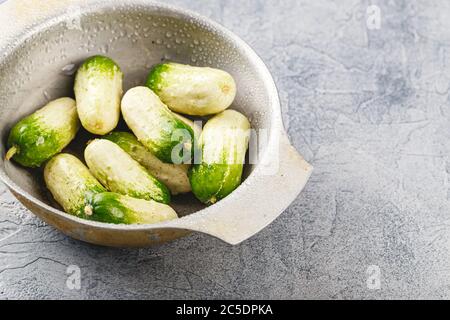 Baby Gurken mit ungewöhnlichen Färbung in Metallschale auf grauem Hintergrund, Platz für Text Stockfoto