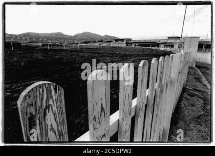 Archiv 90er Jahre: Borely Rennbahn zum Abriss verurteilt, 1996, Marseille, Bouches-du-Rhone, Frankreich Stockfoto