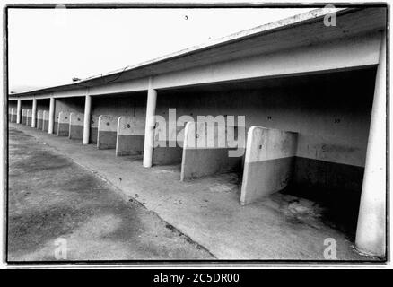 Archiv 90er Jahre: Borely Rennbahn zum Abriss verurteilt, 1996, Marseille, Bouches-du-Rhone, Frankreich Stockfoto