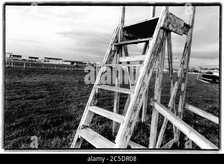 Archiv 90er Jahre: Borely Rennbahn zum Abriss verurteilt, 1996, Marseille, Bouches-du-Rhone, Frankreich Stockfoto